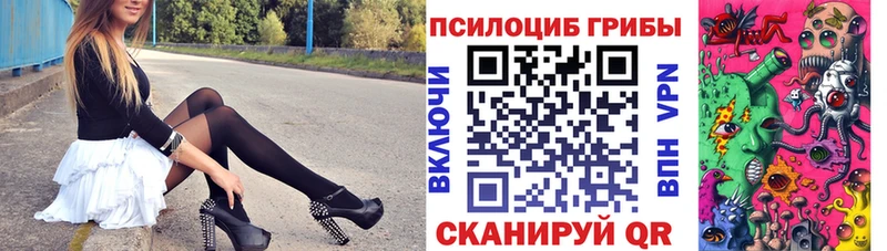 магазин  наркотиков  Нязепетровск  Псилоцибиновые грибы мицелий 